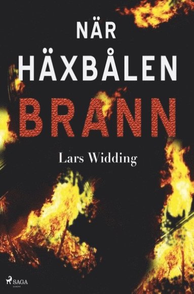 bokomslag När häxbålen brann