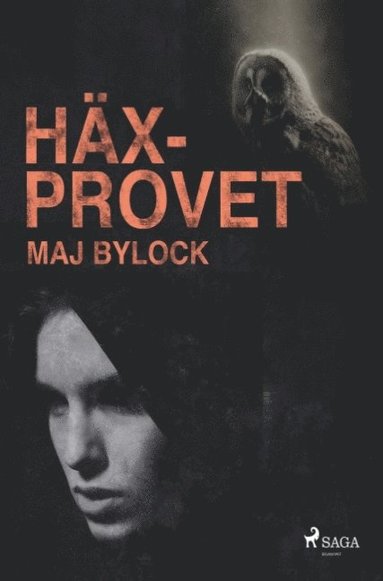 bokomslag Häxprovet