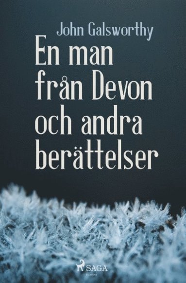 bokomslag En man fran Devon och andra berattelser