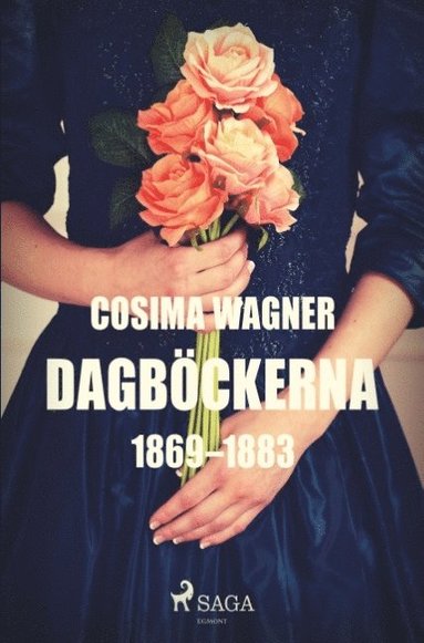 bokomslag Dagböckerna 1869-1883