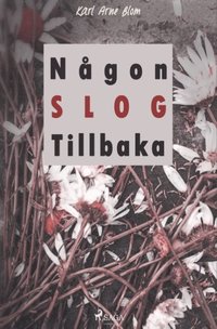 bokomslag Någon slog tillbaka