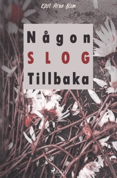 bokomslag Någon slog tillbaka