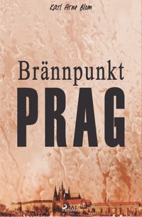 bokomslag Brnnpunkt Prag