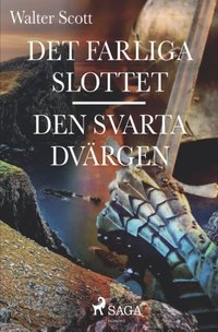 bokomslag Det farliga slottet