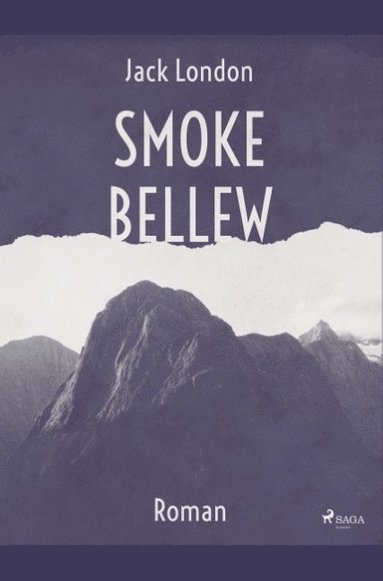 bokomslag Smoke Bellew