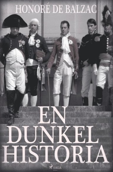 bokomslag En dunkel historia