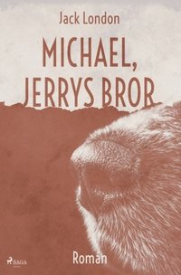bokomslag Michael, Jerrys bror