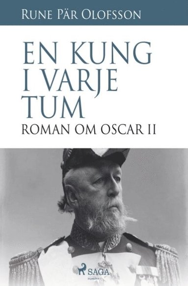 bokomslag En kung i varje tum : roman om Oscar II