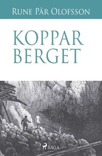 bokomslag Kopparberget