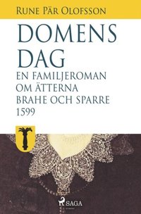 bokomslag Domens dag : en familjeroman om ätterna Brahe och Sparre 1599- : Domens