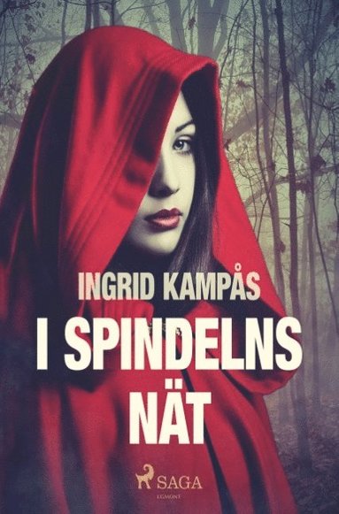 bokomslag I spindelns nät