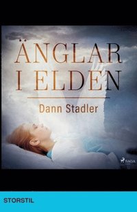 bokomslag Änglar i elden