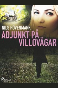 bokomslag Adjunkt på villovägar