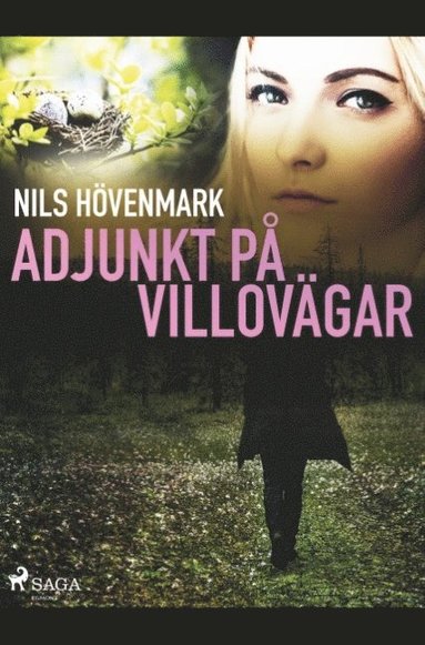bokomslag Adjunkt på villovägar