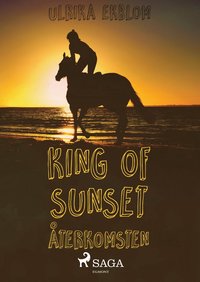 bokomslag King of Sunset : återkomsten