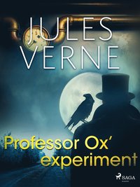 bokomslag Professor Ox- experiment