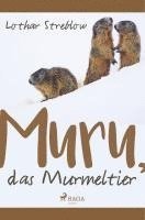 bokomslag Murru, das Murmeltier