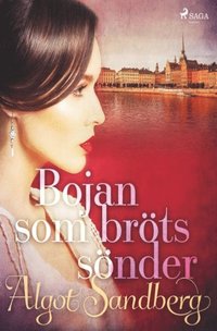 bokomslag Bojan som bröts sönder