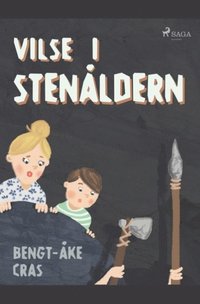 bokomslag Vilse i stenåldern