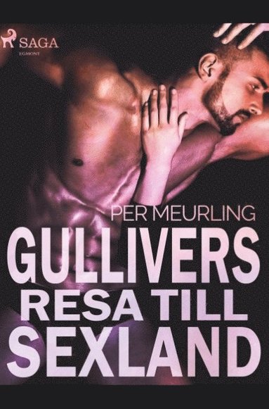 bokomslag Gullivers resa till sexland
