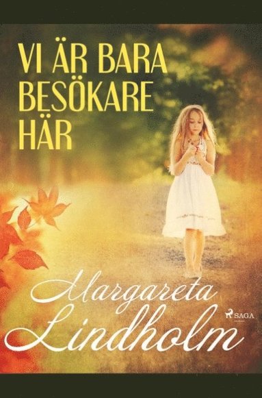 bokomslag Vi är bara besökare här