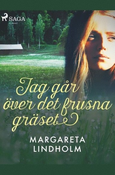 bokomslag Jag går över det frusna gräset
