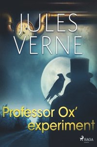bokomslag Professor Ox- experiment