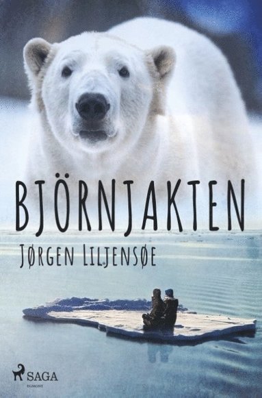 bokomslag Björnjakten