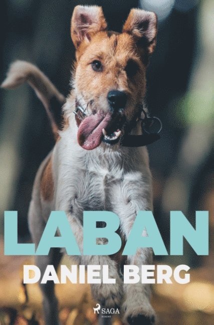 Laban 1