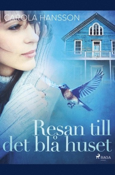 bokomslag Resan till det blå huset