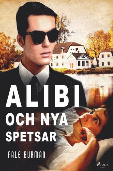 bokomslag Alibi och nya spetsar