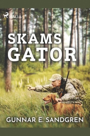 bokomslag Skams gator