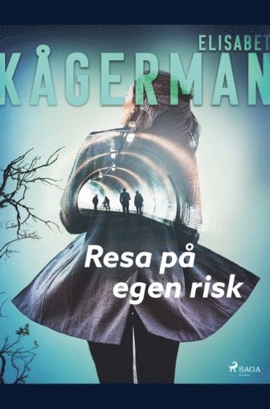 bokomslag Resa på egen risk