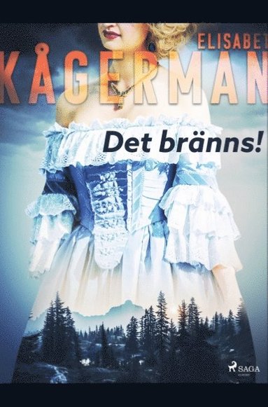 bokomslag Det bränns!