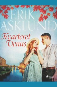 bokomslag Kvarteret Venus