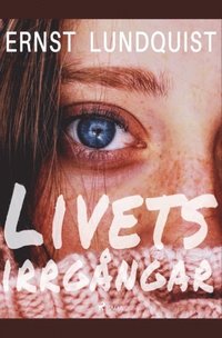 bokomslag Livets irrgångar