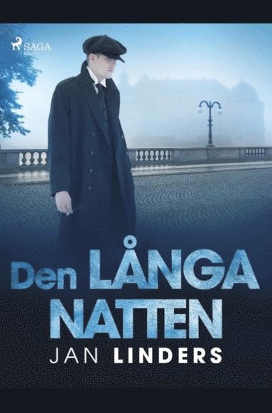 bokomslag Den lnga natten