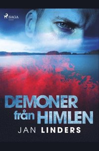 bokomslag Demoner frn himlen