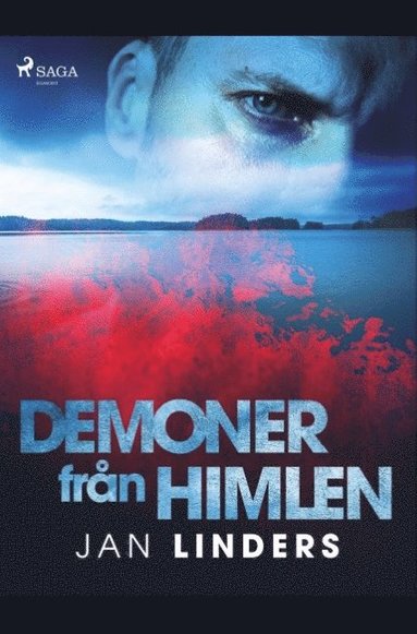 bokomslag Demoner fran himlen