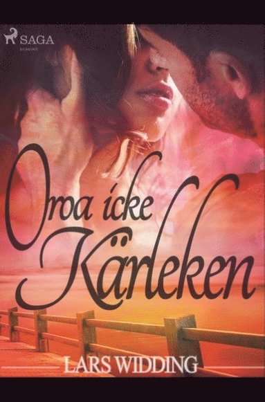 bokomslag Oroa icke kärleken