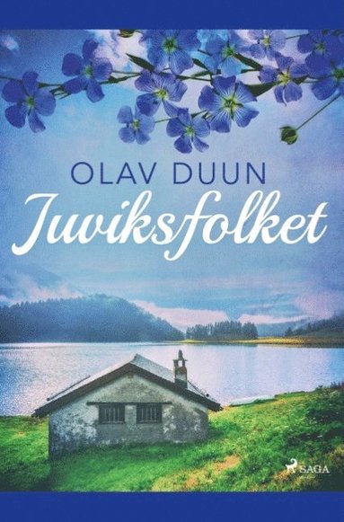 bokomslag Juviksfolket