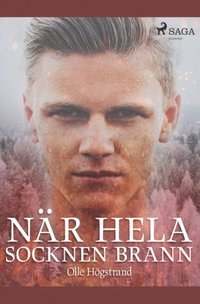 bokomslag När hela socknen brann