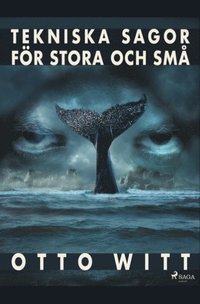 bokomslag Tekniska sagor fr stora och sm