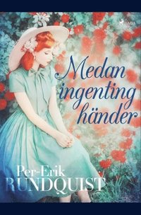 bokomslag Medan ingenting händer