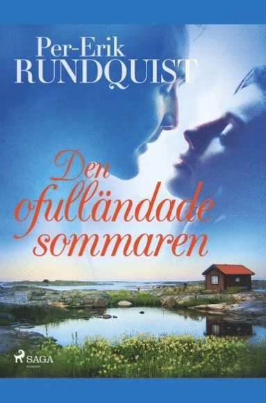 bokomslag Den ofulländade sommaren