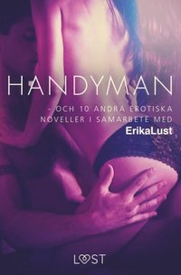 bokomslag Handyman - och 10 andra erotiska noveller i samarbete med Erika Lust