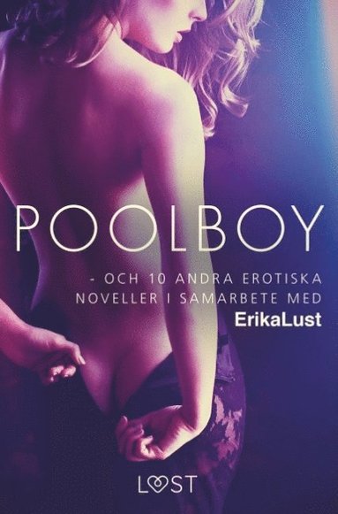 bokomslag Poolboy - och 10 andra erotiska noveller i samarbete med Erika Lust