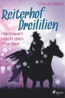 bokomslag Reiterhof Dreililien 7 - Heimweh nach den Pferden