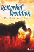 bokomslag Reiterhof Dreililien 4 - Der Sommer im Tal