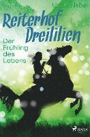 bokomslag Reiterhof Dreililien 3 - Der Frühling des Lebens